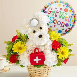 Cure-All Doggie