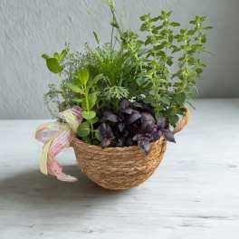 Herb Garden