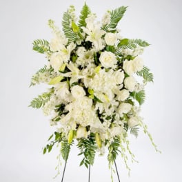True Sympathy by BloomNation™