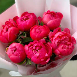 Premium Peony Bouquet (7 Stems) – Elegant Gift