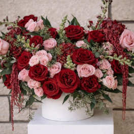 Blushing Romance
