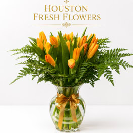 Yellow Tulips