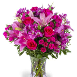 Lavender Of Rose's
