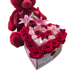 Teddy Bear Love