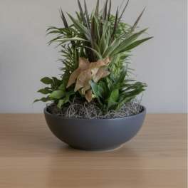 8” Signature Dish Garden