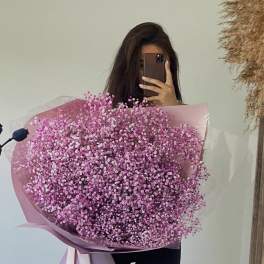 #64 Pink Baby Breath