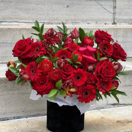 #24 Deep Red Box