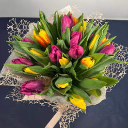 #52 Mixed Tulips