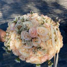 #22 Peachy roses