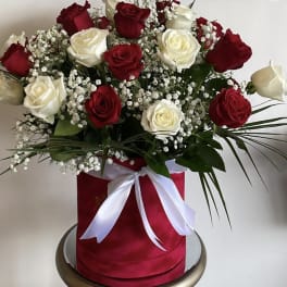 Red and White Luxury Box