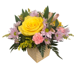 Sunshine for Mom