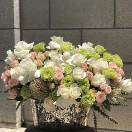 Blush Beauty