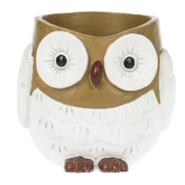 Three owl-shaped ceramic planters in green, gold, and mint