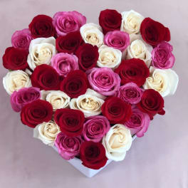 here's my heart