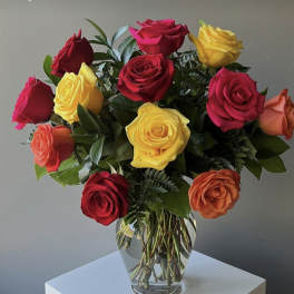 tricolors roses