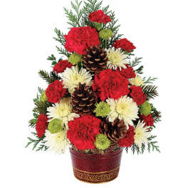 Christmas Tree Celebration