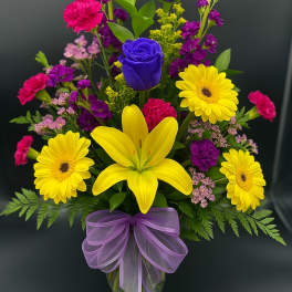 Bright and Beaty