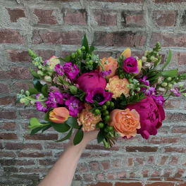 Fuchsia Fun