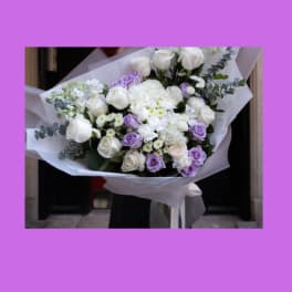 Lavender Love