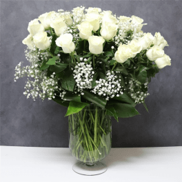 White Rose Tradition