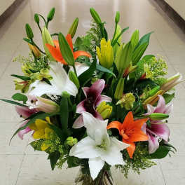DESIGNERS CHOICE - OHH LILY
