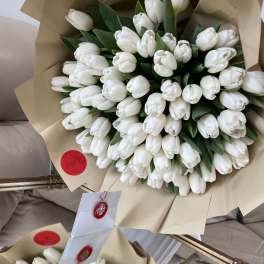 Tulips