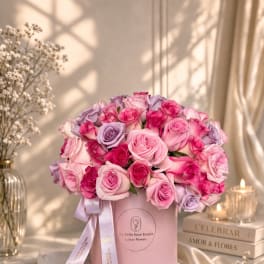 Bella Pink