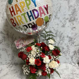 Surprice Roses / Rosas Sorpresa