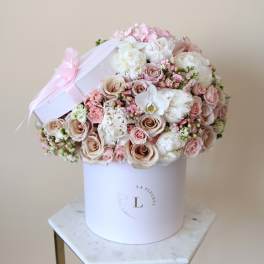 Pink Beauty