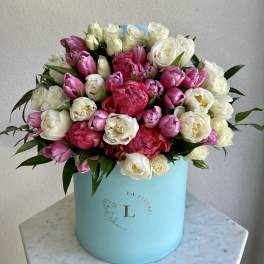 Spring Bloom