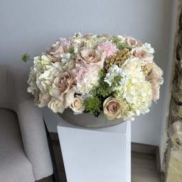 Graceful Posies