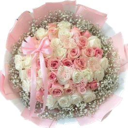 Pink and White
