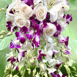 3 roses flower shop.