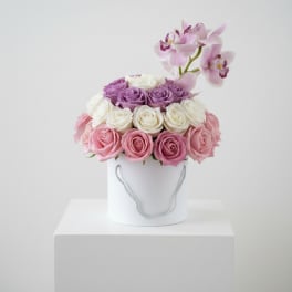 Blush Bloom