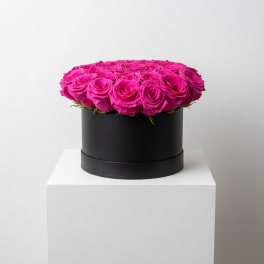 The Statement Box