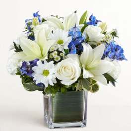 Healing Tears Blue & White