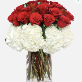Elegant red roses and hydrangeas