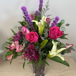 Splendid Blooms