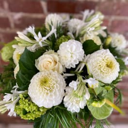 Whites & Greens Sympathy