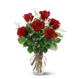 Half dozen roses