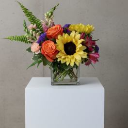 Showers of Flowers