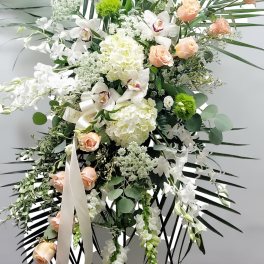 Peach and white