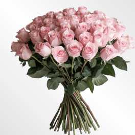 Blush Whisper Bouquet – Soft Pink Roses with Baby’s Breath