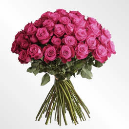 Blush Luxe Hot Pink Rose Hand-Tied Bouquet