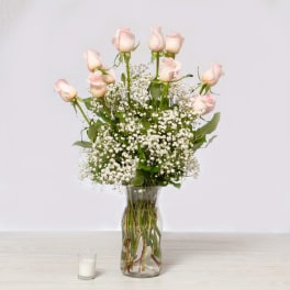 Dozen Pink Roses