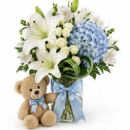 Baby Boy Big Hug Bouquet