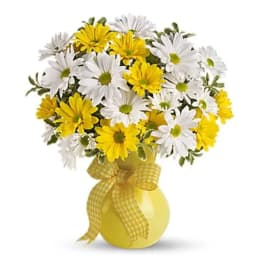Upsy Daisy