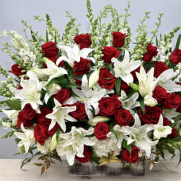 Star Gazers Love