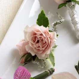 FTD Pink Spray Rose Boutonniere