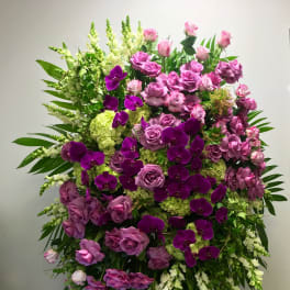 Purple Orchid Spray